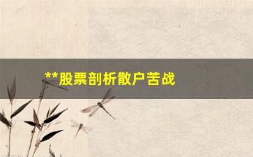 “**股票剖析散户苦战20年”/