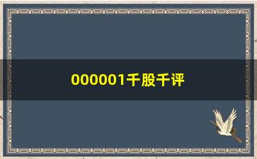 “000001千股千评，深度剖析000001股票的投资价值”/