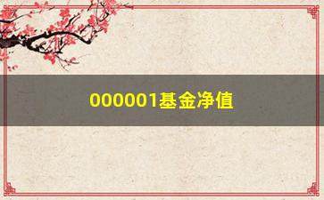 “000001基金净值大介绍（教你如何看懂基金净值和风险）”/