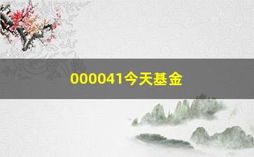 “000041今天基金净值最新数据查询”/