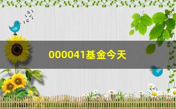 “000041基金今天净值是多少？”/