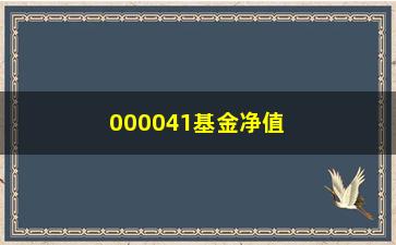 “000041基金净值，最新基金净值查询及分析”/