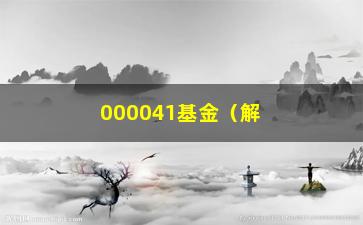 “000041基金（解读该基金的投资策略和业绩表现）”/