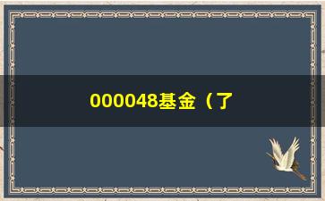 “000048基金（了解该基金的投资步骤和表现）”/