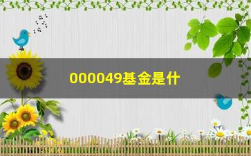 “000049基金是什么？如何投资？（一文带你了解）”/