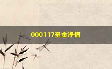 “000117基金净值查询今天(000117基金净值查询今天最新净值)”/