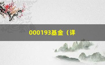 “000193基金（详细介绍该基金的投资步骤和业绩表现）”/