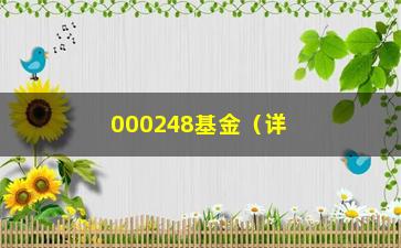 “000248基金（详细介绍000248基金的投资步骤）”/