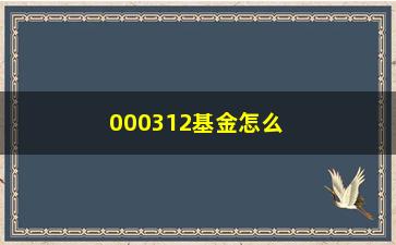 “000312基金怎么样？值得投资吗？”/