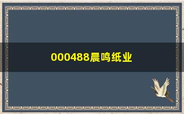 “000488晨鸣纸业股牛叉，揭秘晨鸣纸业股票走势及投资价值分析”/