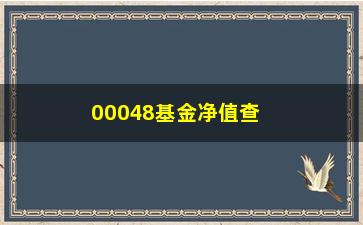 “00048基金净值查询(000220基金净值查询)”/