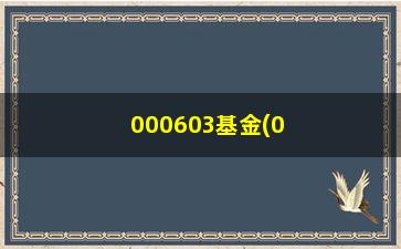 “000603基金(000603基金净值查询今天最新净值)”/