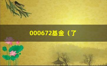 “000672基金（了解该基金的投资情况与前景分析）”/