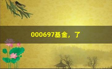 “000697基金，了解000697基金的投资策略和风险分析”/