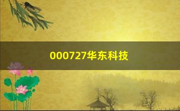 “000727华东科技公司简介（介绍华东科技公司的基本情况）”/