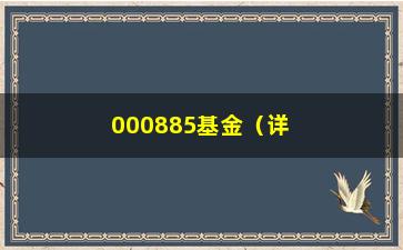 “000885基金（详细介绍000885基金的投资步骤和表现）”/