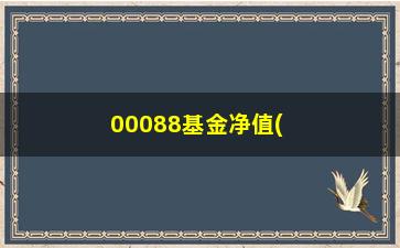 “00088基金净值(华宝国策导向是什么基金)”/