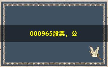 “000965股票，公司概况及股票走势分析”/