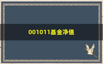 “001011基金净值查询方法及注意事项”/