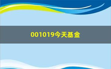 “001019今天基金净值查询方法和注意事项”/