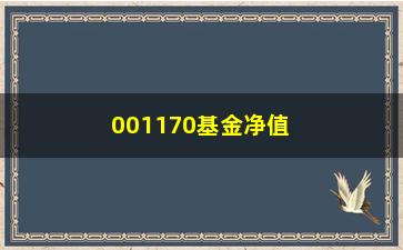 “001170基金净值实时查询（投资前必须掌握的信息）”/