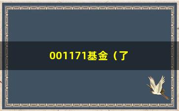 “001171基金（了解001171基金的投资步骤和表现）”/