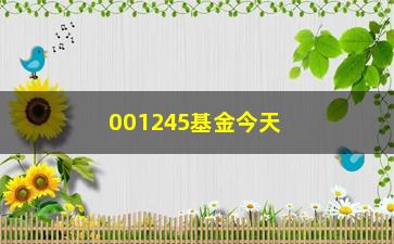 “001245基金今天净值（最新净值公布）”/