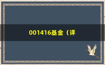 “001416基金（详解001416基金的投资策略和风险分析）”/