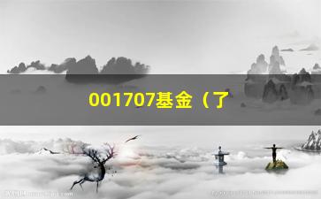 “001707基金（了解001707基金的投资风险和收益）”/