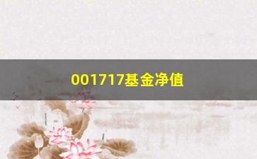 “001717基金净值查询(001717基金净值查询今天最新净值)”/