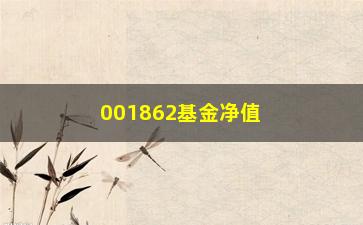 “001862基金净值实时查询（了解基金净值变化，把握投资机会）”/