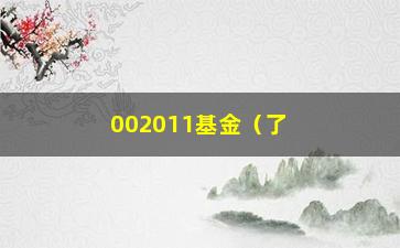 “002011基金（了解002011基金的投资步骤和表现）”/