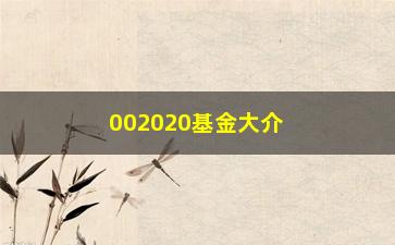 “002020基金大介绍（一文了解这个热门基金的投资步骤）”/