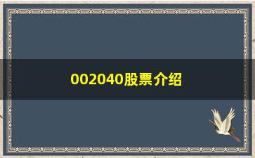 “002040股票介绍股票T+0操作的2个小技巧”/