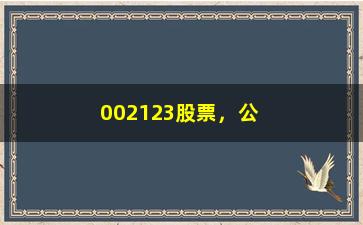 “002123股票，公司概况、财务分析及投资建议”/