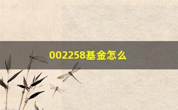 “002258基金怎么购买及风险介绍？”/