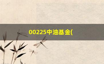 “00225中油基金(中邮成长基金净值)”/