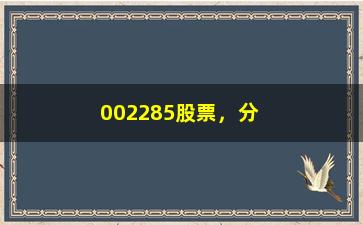 “002285股票，分析公司财务数据和股价走势”/