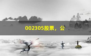 “002305股票，公司概况、行业分析和投资建议”/