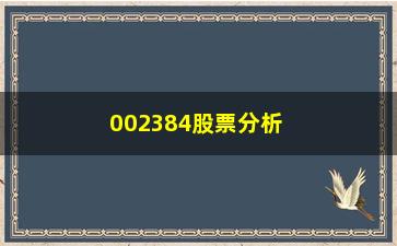 “002384股票分析未来发展前景展望及投资建议”/