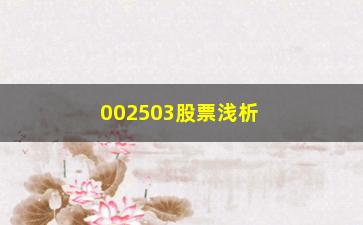 “002503股票浅析想要获利先别被洗出局！牢记这3大主力洗**诀”/