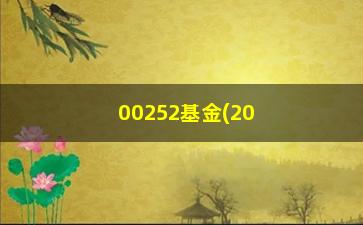 “00252基金(2008基金分红)”/