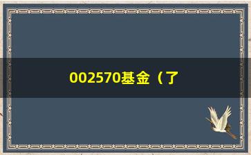 “002570基金（了解基金公司002570的相关情况）”/