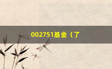 “002751基金（了解该基金的基本情况和投资建议）”/