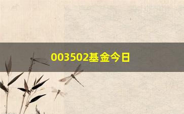 “003502基金今日净值查询及分析”/