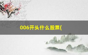 “006开头什么股票(股票开头代码什么区别)”/