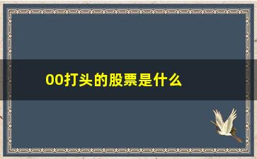 “00打头的股票是什么指数(股票行业指数是什么意思)”/