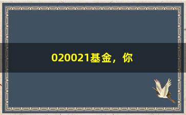 “020021基金，你需要知道的一切（从入门到精通的全面指南）”/