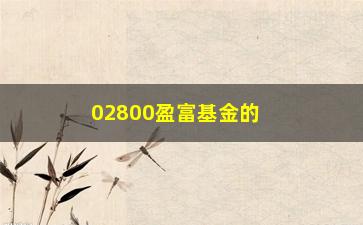 “02800盈富基金的投资步骤介绍（如何实现稳健增长）”/