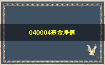 “040004基金净值查询方法及注意事项”/